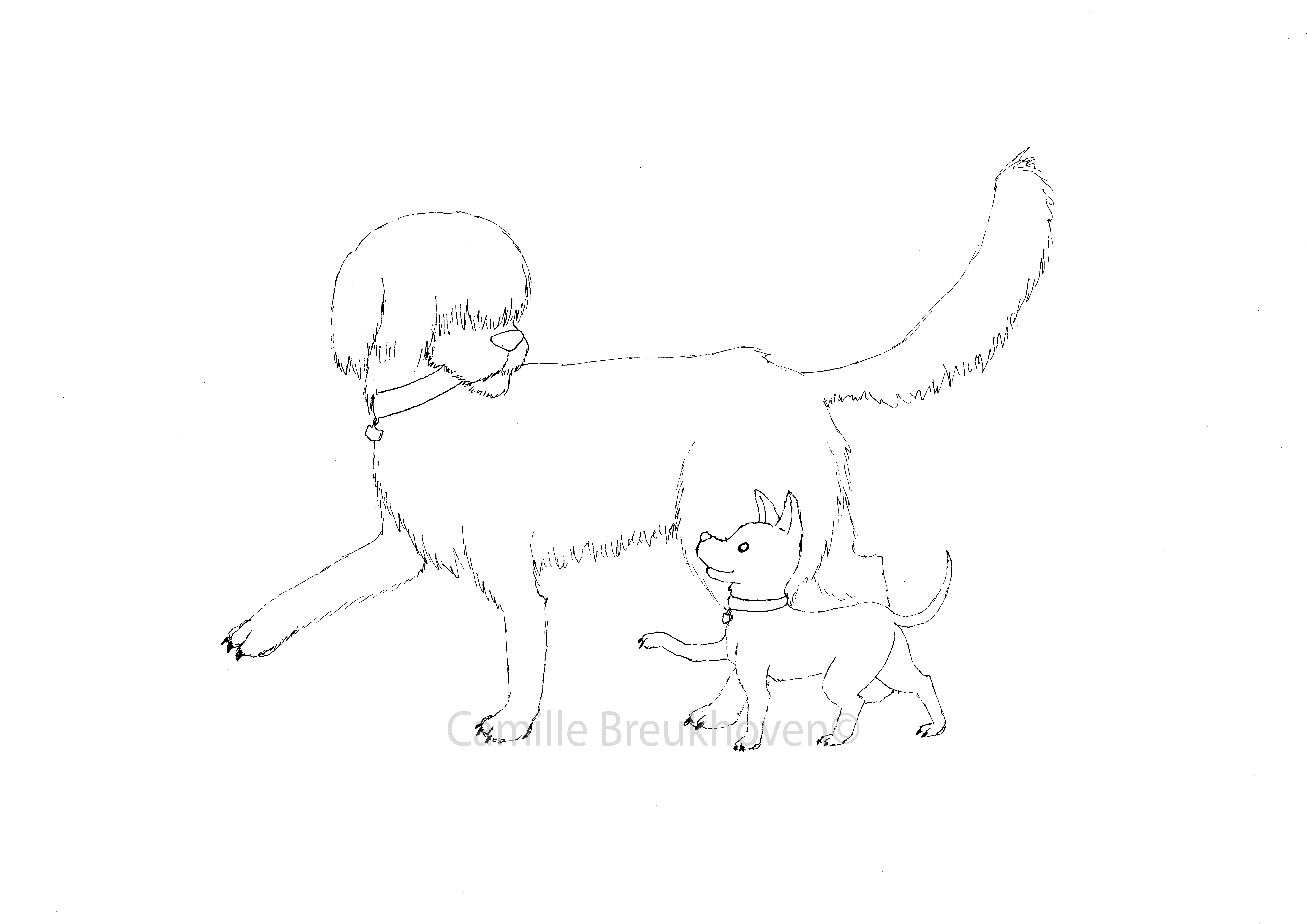 poetin en trump klpt wtm